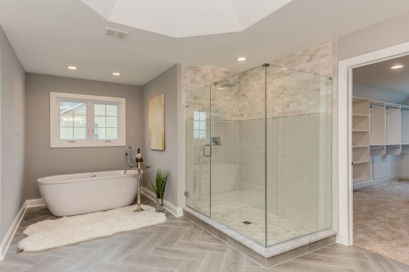Modern Tub and Shower Combo